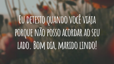 Eu detesto quando você viaja porque não posso acordar ao seu lado. Bom dia, marido lindo!