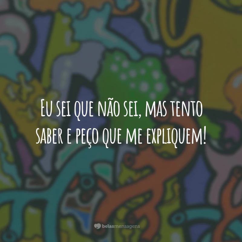 Eu sei que não sei, mas tento saber e peço que me expliquem!