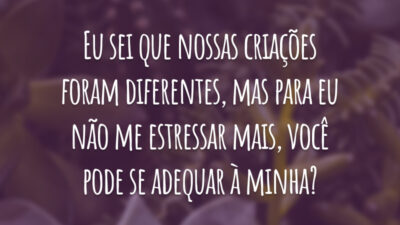 Eu sei que nossas criações foram diferentes, mas para eu não me estressar mais, você pode se adequar à minha?