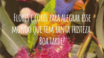 Flores e cores para alegrar esse mundo que tem tanta tristeza. Boa tarde!