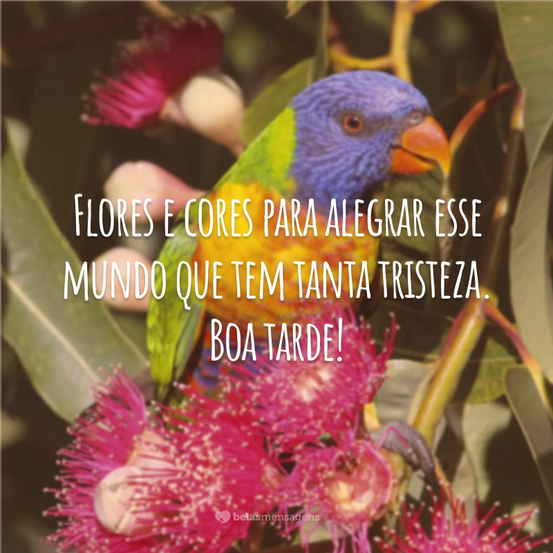 Flores e cores para alegrar esse mundo que tem tanta tristeza. Boa tarde!