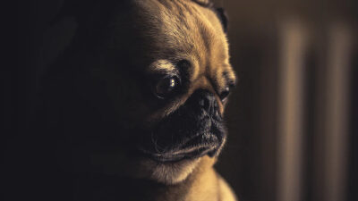 40 frases de dia triste para expressarmos nossos sentimentos e dores