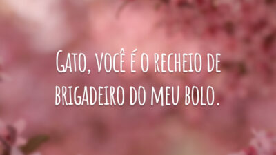 Gato, você é o recheio de brigadeiro do meu bolo.