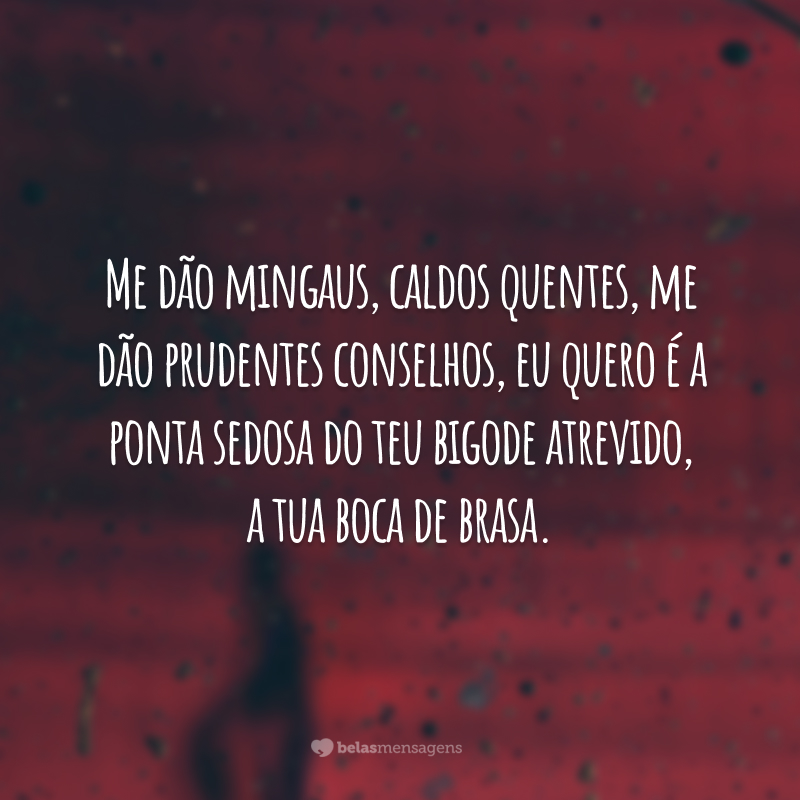 Me dão mingaus, caldos quentes, me dão prudentes conselhos, eu quero é a ponta sedosa do teu bigode atrevido, a tua boca de brasa.