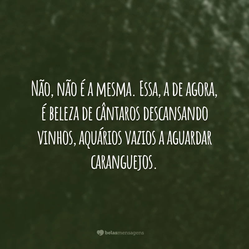 Não, não é a mesma. Essa, a de agora, é beleza de cântaros descansando vinhos, aquários vazios a aguardar caranguejos.