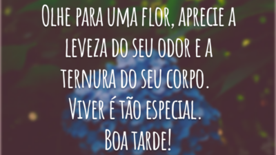 Olhe para uma flor, aprecie a leveza do seu odor e a ternura do seu corpo. Viver é tão especial. Boa tarde!