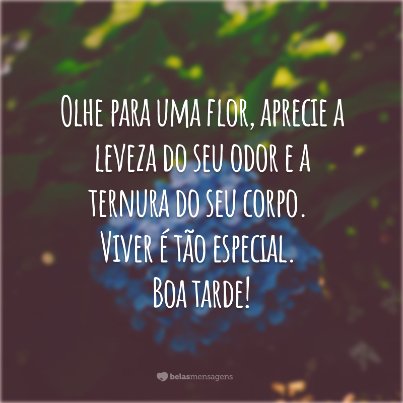 Olhe para uma flor, aprecie a leveza do seu odor e a ternura do seu corpo. Viver é tão especial. Boa tarde!