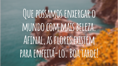 Que possamos enxergar o mundo com mais beleza. Afinal, as flores existem para enfeitá-lo. Boa tarde!