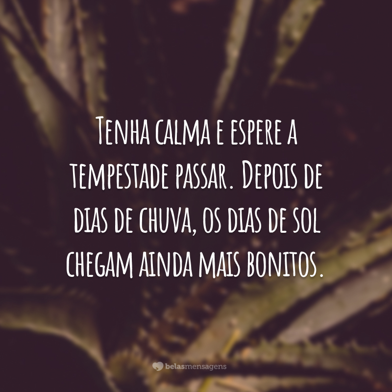 Tenha calma e espere a tempestade passar. Depois de dias de chuva, os dias de sol chegam ainda mais bonitos.