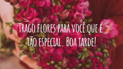 Trago flores para você que é tão especial. Boa tarde!