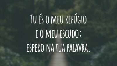 Tu és o meu refúgio e o meu escudo; espero na tua palavra.