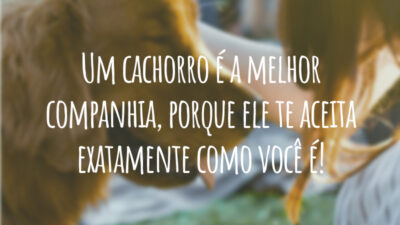 Um cachorro é a melhor companhia, porque ele te aceita exatamente como você é!