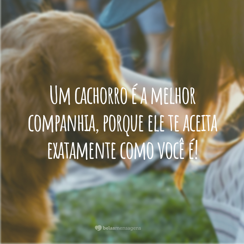 Um cachorro é a melhor companhia, porque ele te aceita exatamente como você é! 