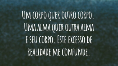 Um corpo quer outro corpo. 
Uma alma quer outra alma e seu corpo. 
Este excesso de realidade me confunde.