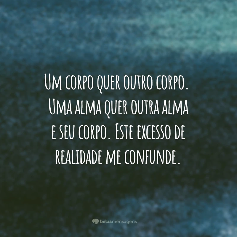 Um corpo quer outro corpo. 
Uma alma quer outra alma e seu corpo. 
Este excesso de realidade me confunde.