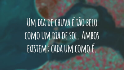 Um dia de chuva é tão belo como um dia de sol. Ambos existem; cada um como é.
