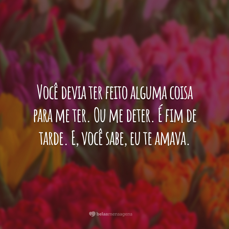 Você devia ter feito alguma coisa para me ter. Ou me deter. É fim de tarde. E, você sabe, eu te amava.