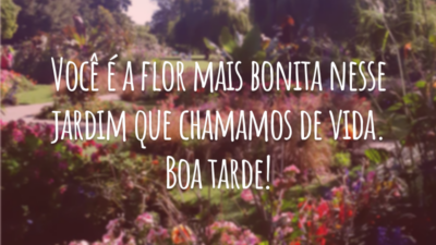 Você é a flor mais bonita nesse jardim que chamamos de vida. Boa tarde!