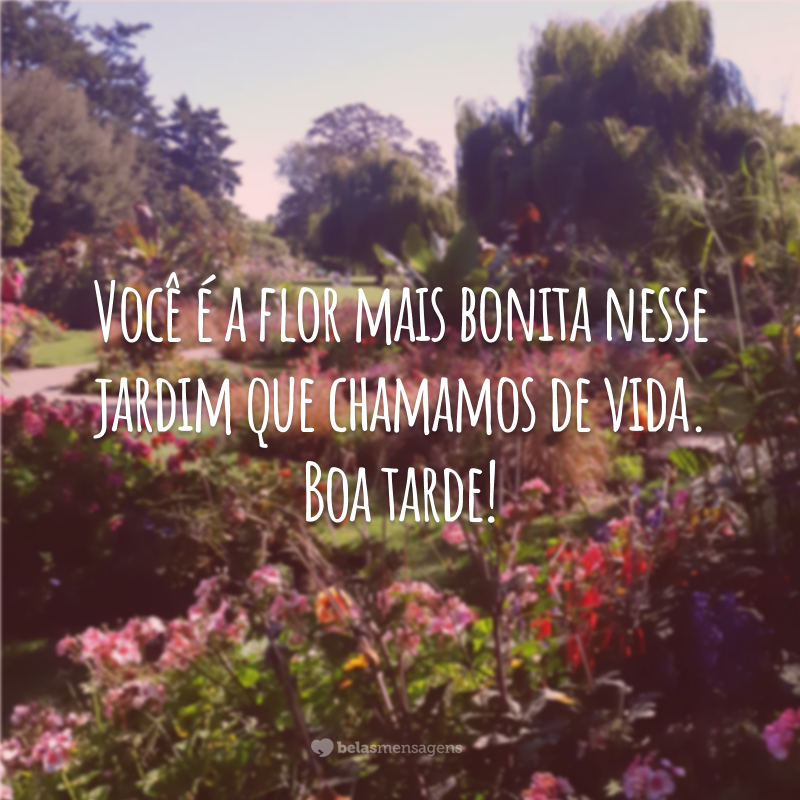 Você é a flor mais bonita nesse jardim que chamamos de vida. Boa tarde!