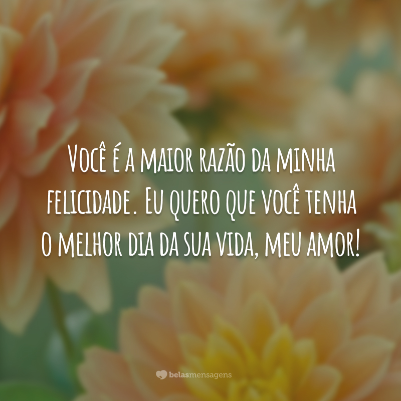 Você é a maior razão da minha felicidade. Eu quero que você tenha o melhor dia da sua vida, meu amor!