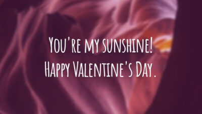 You're my sunshine! Happy Valentine's Day.
(Você é meu raio de sol!)