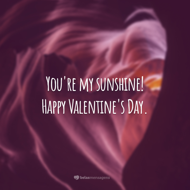 You're my sunshine! Happy Valentine's Day.
(Você é meu raio de sol!)