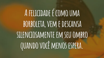 A felicidade é como uma borboleta, vem e descansa silenciosamente em seu ombro quando você menos espera.