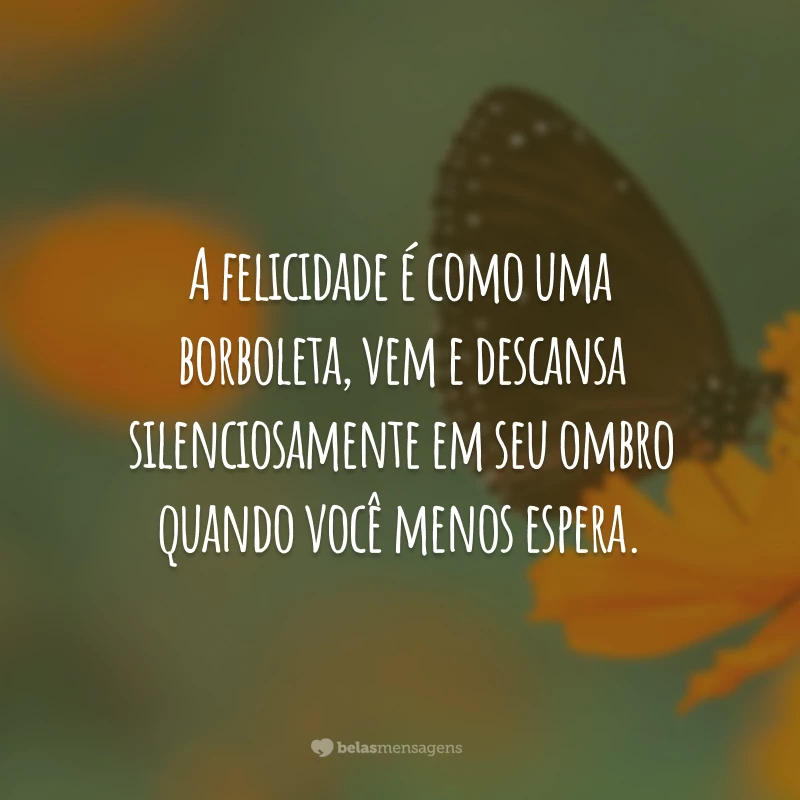 A felicidade é como uma borboleta, vem e descansa silenciosamente em seu ombro quando você menos espera.