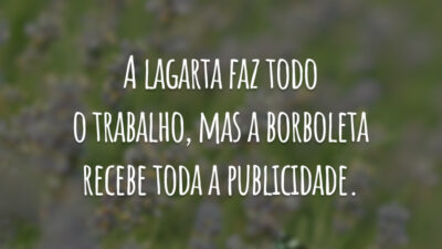 A lagarta faz todo o trabalho, mas a borboleta recebe toda a publicidade.