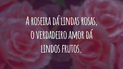 A roseira dá lindas rosas, o verdadeiro amor dá lindos frutos.