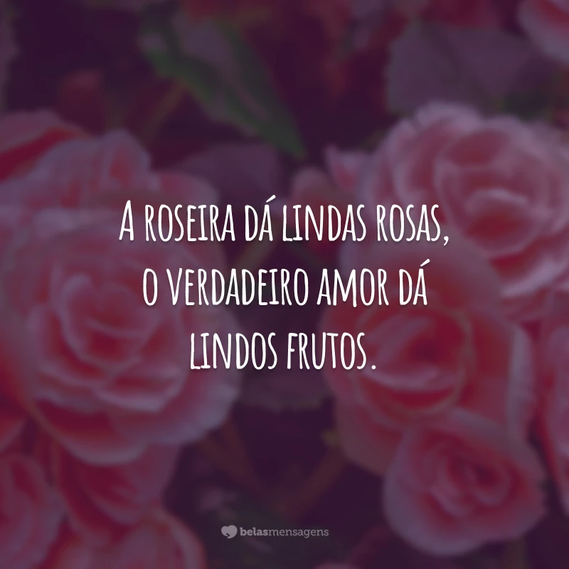 A roseira dá lindas rosas, o verdadeiro amor dá lindos frutos.