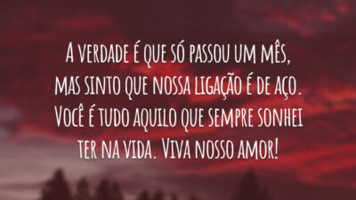 A verdade é que só passou um mês, mas sinto que nossa ligação é de aço. Você é tudo aquilo que sempre sonhei ter na vida. Viva nosso amor!