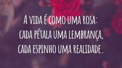 A vida é como uma rosa: cada pétala uma lembrança, cada espinho uma realidade.