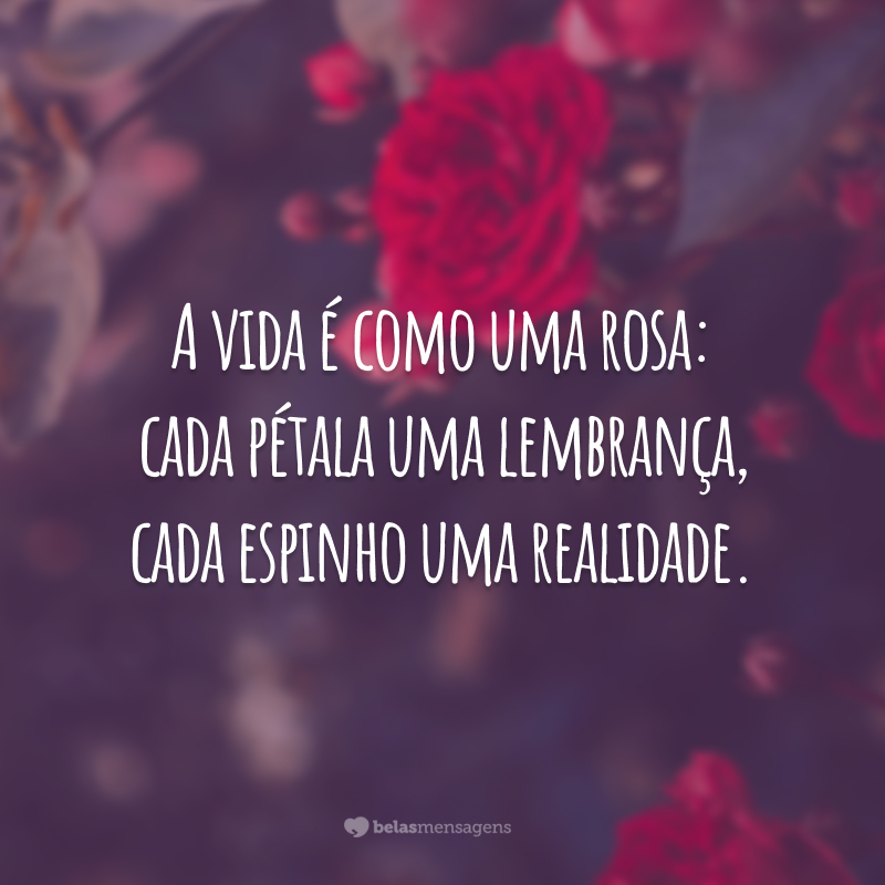 A vida é como uma rosa: cada pétala uma lembrança, cada espinho uma realidade.