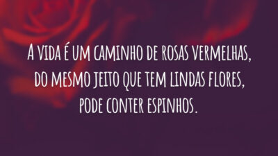 A vida é um caminho de rosas vermelhas, do mesmo jeito que tem lindas flores, pode conter espinhos.