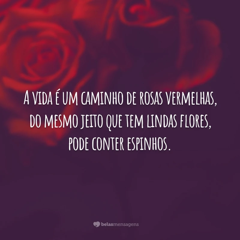 A vida é um caminho de rosas vermelhas, do mesmo jeito que tem lindas flores, pode conter espinhos.