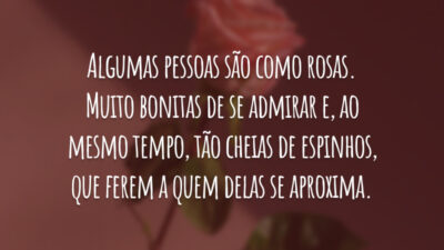 Algumas pessoas são como rosas. Muito bonitas de se admirar e, ao mesmo tempo, tão cheias de espinhos, que ferem a quem delas se aproxima.