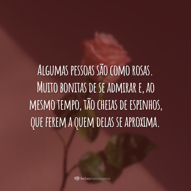 Algumas pessoas são como rosas. Muito bonitas de se admirar e, ao mesmo tempo, tão cheias de espinhos, que ferem a quem delas se aproxima.