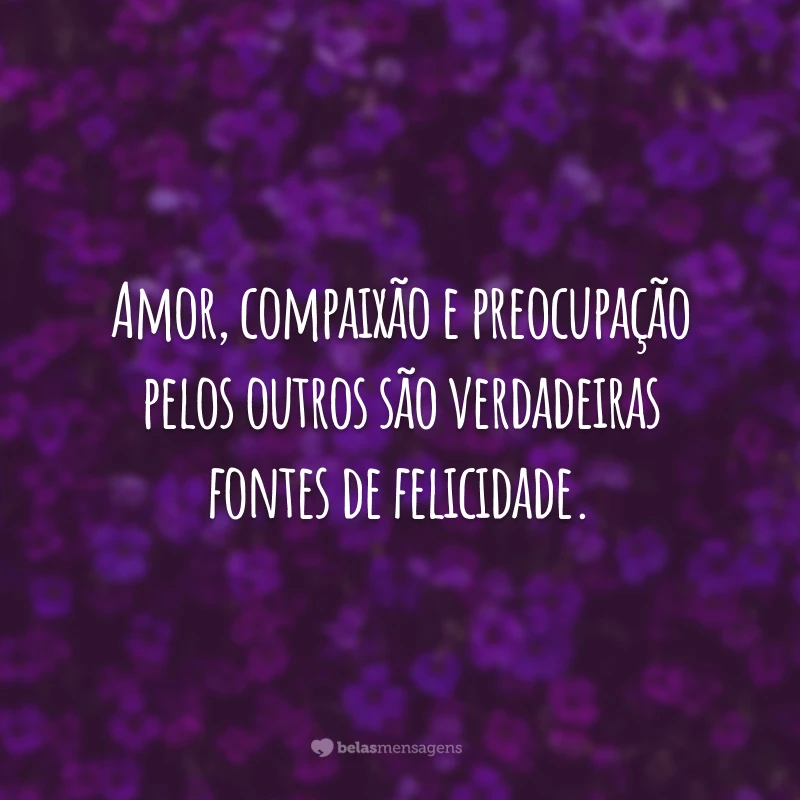 Amor, compaixão e preocupação pelos outros são verdadeiras fontes de felicidade.