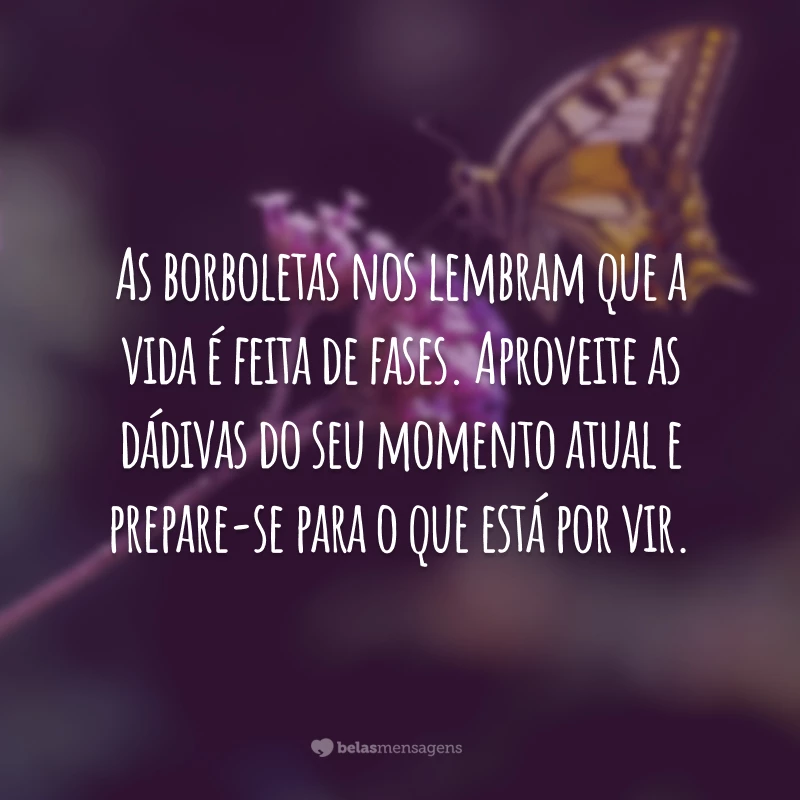 As borboletas nos lembram que a vida é feita de fases. Aproveite as dádivas do seu momento atual e prepare-se para o que está por vir.