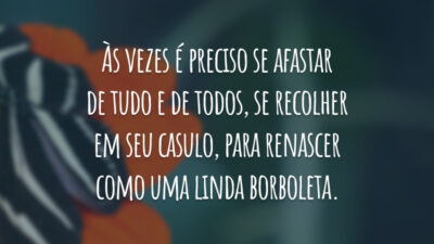 Às vezes é preciso se afastar de tudo e de todos, se recolher em seu casulo, para renascer como uma linda borboleta.
