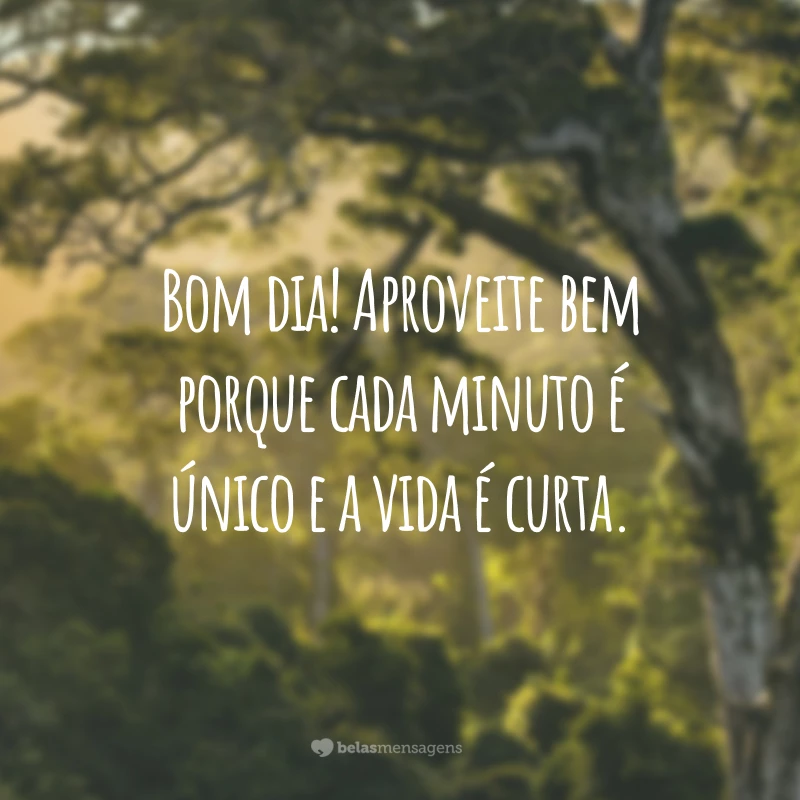 Bom dia! Aproveite bem porque cada minuto é único e a vida é curta.