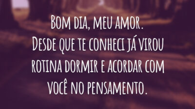 Bom dia, meu amor. Desde que te conheci já virou rotina dormir e acordar com você no pensamento.