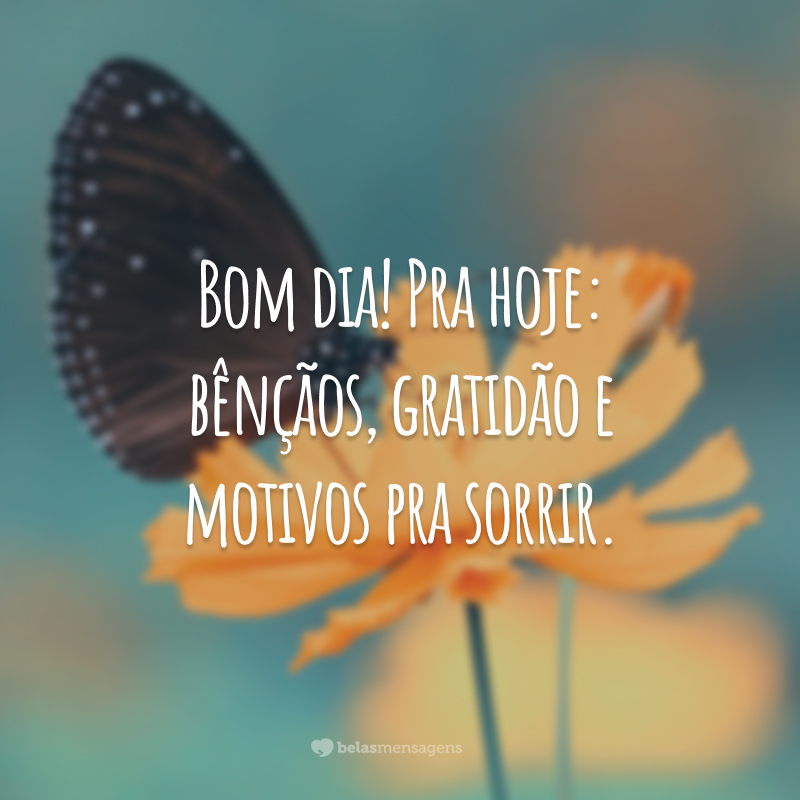 Bom dia! Pra hoje: bênçãos, gratidão e motivos pra sorrir.