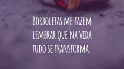 Borboletas me fazem lembrar que na vida tudo se transforma.