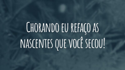 Chorando eu refaço as nascentes que você secou!