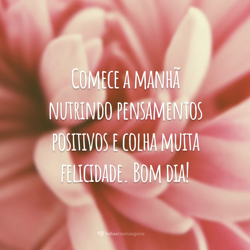 Comece a manhã nutrindo pensamentos positivos e colha muita felicidade. Bom dia!