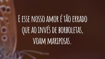 E esse nosso amor é tão errado que ao invés de borboletas, voam mariposas.