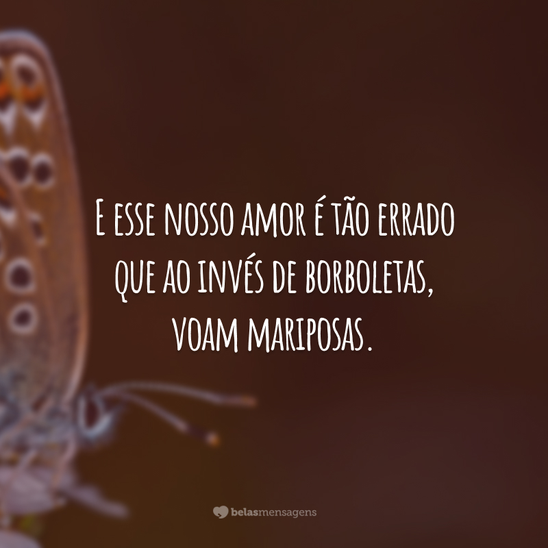 E esse nosso amor é tão errado que ao invés de borboletas, voam mariposas.