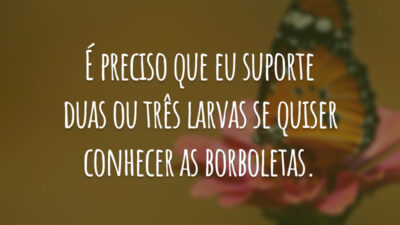É preciso que eu suporte duas ou três larvas se quiser conhecer as borboletas.
